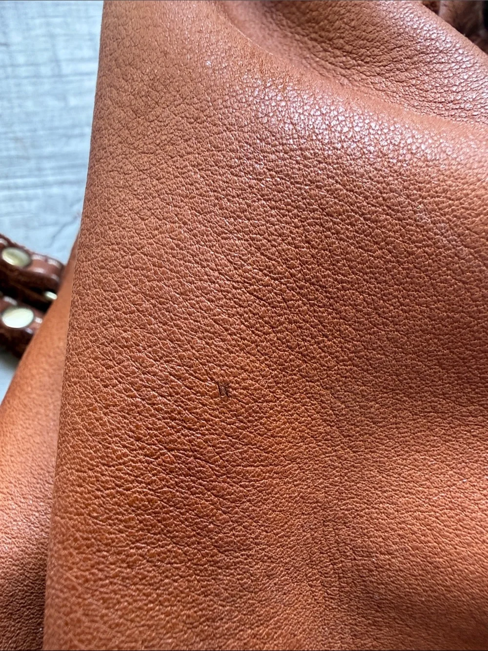 Lusher Stylish Tan Leather Backpack with Brass Accents